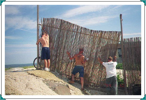 Historic Views of the Place 1999