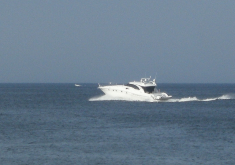 DSCN5686_V2