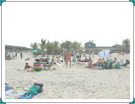 Picture15